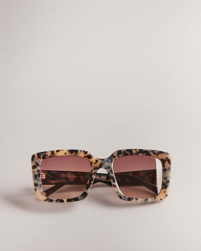 Ted Baker Doxies Chunky Square Frame Sunglasses Brązowe | 14PJOBDHC