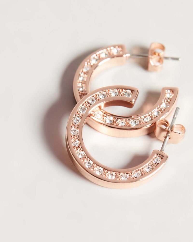 Ted Baker Senatta Crystal Hoop Earring Rosegold | 35BXTPFQK