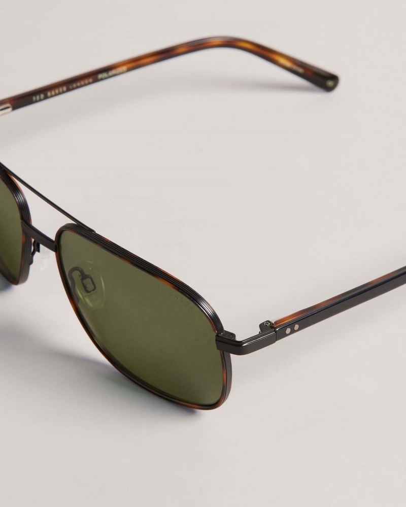 Ted Baker Sunrect Metal Square Aviator Sunglasses Brązowe | 51EHVTNGI